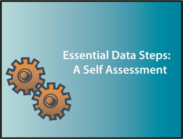 Essential Data Steps: A Self Assessment The purpose of this module, Essential Data Steps: A Self Assessment is to help you identify your data related technical assistance and training needs.