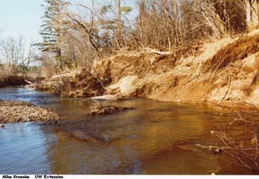 BANK CHARACTERISTICS An Undercut Bank (above) rises vertically or overhangs the river/stream.