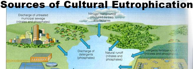 http://library.thinkquest.org/04oct/01590/pollution/eutrophication.