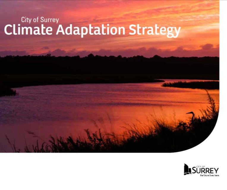 change mitigation and adaptation plan Long-standing and