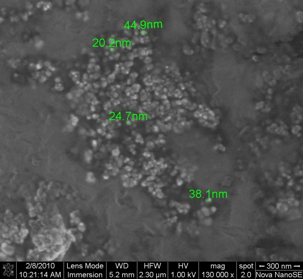 Thin Film Morphology Utilize scanning electron microscopy to qualitatively evaluate