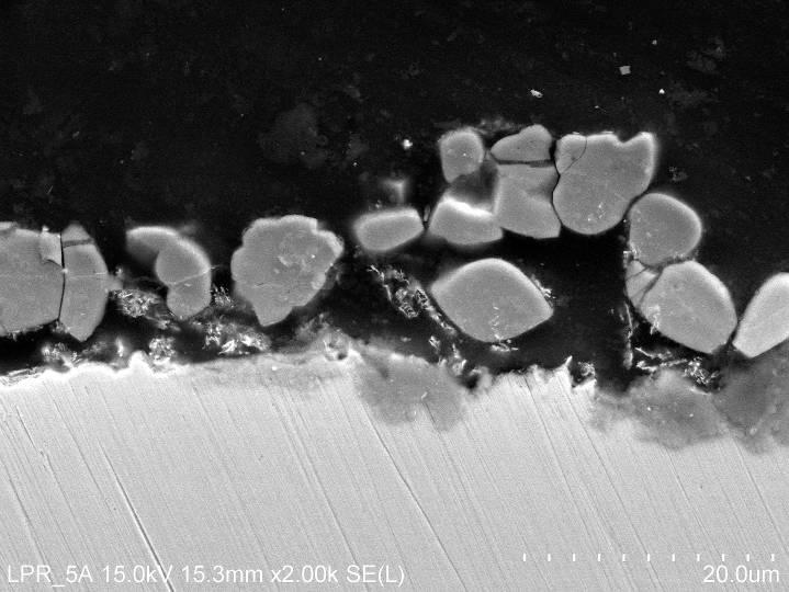 The SEM images illustrate the lack of such a layer, and this indicates that the carbide structure was fragile and had fallen off during the experiment, or when it was taken out of the solution
