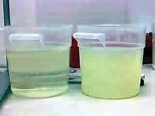 Figure 5. Turbidity improvement made with 3M Purifi cation fi ltration system.