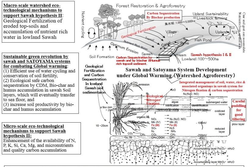 Sawah hypthesis (II) postulates the creation of African SATOYAMA watershed systems to combat food crisis and global warming. Multi Functionality of Sawah Systems A.