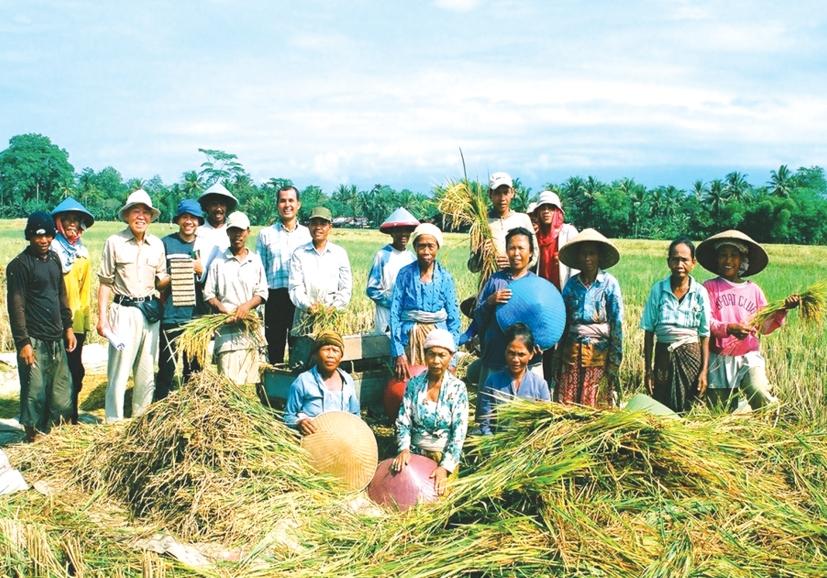 Sawah Hypothesis(II): This postulates that the Sustainable Productivity of one hacter of lowland Sawah is over 10 times higher than one hacter upland field.