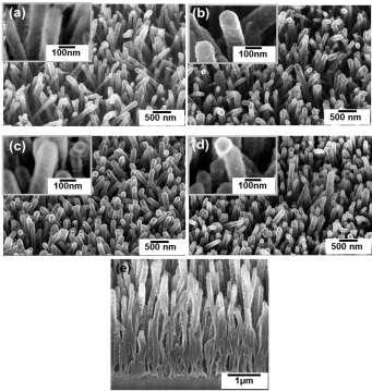 Figure 4.1: SEM micrographs of (a) SiNTs, (b) SiNTs/TiO 2, (c) SiNTs/Al 2 O 3, (d) SiNTs/TiN electrodes.