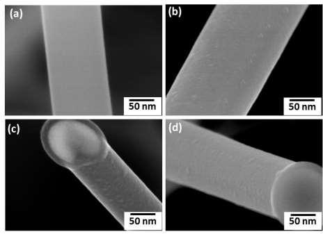 nonlinear Shirley-type background model. 3.3 Results and Discussion SEM and TEM micrographs of as-made, VLS grown SiNWs coated with 10 nm of TiO 2 