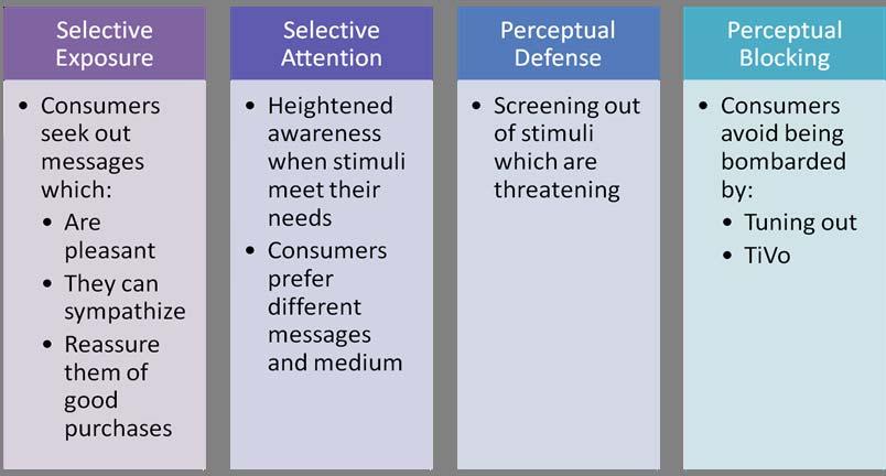 Perceptual Selection