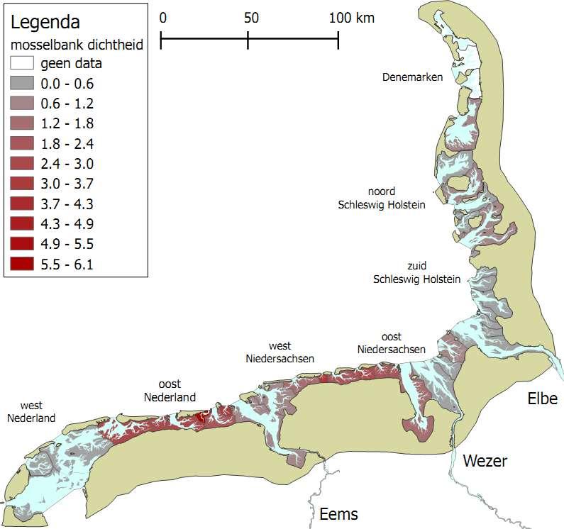 musselbeds (%) no data nucleus 3 nucleus 1 nucleus 2 Trilateral observations y2y variations 1999-2009 Three clusters of variation Boundaries of clusters located near river mouths (estuaries) or in