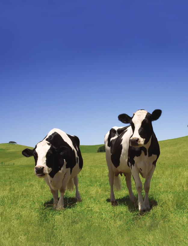 How California Created the Dairy Industry of the Future Highlights from a Case Study Developed by Columbia University s Graduate School of Business on the