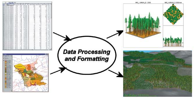 Stand visualization is created using the Stand Visualization System (WinSVS) developed by the USDA Forest Service.