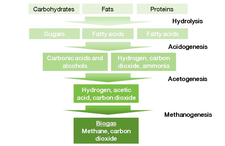 For better understanding on the figure below you could see the production steps of biogas.