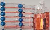 Cell Culture Excellence Essential