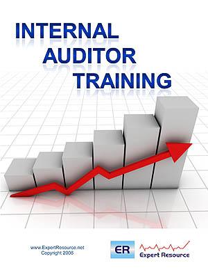 6. Internal Audit A robust internal audit system