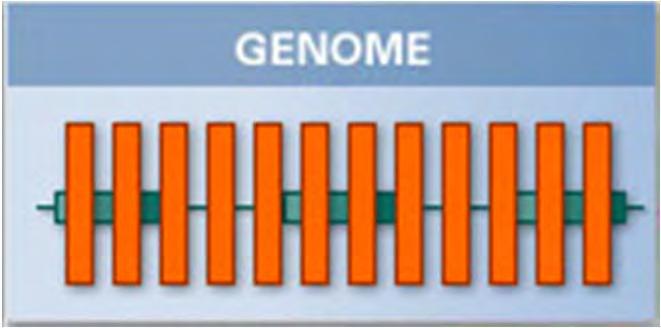 survey of alternative splicing and gene expression.