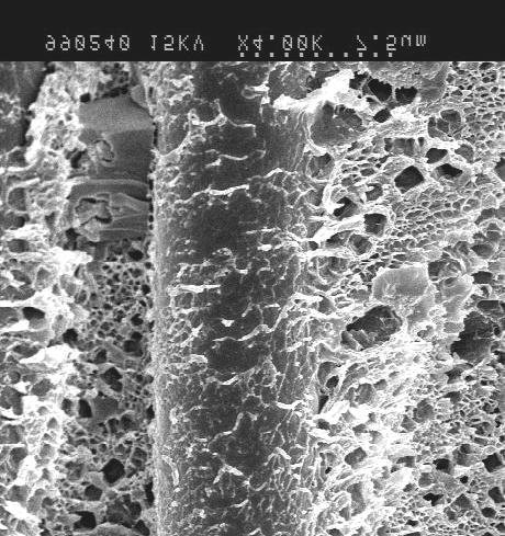 Fig. 6 SEM micrography showing net structure on the fiber surface of fracture surface of panel 2 Fig.