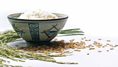 This diversity can be considerable. For example, there are tens of thousands of different varieties of rice, developed by farmers over millennia.