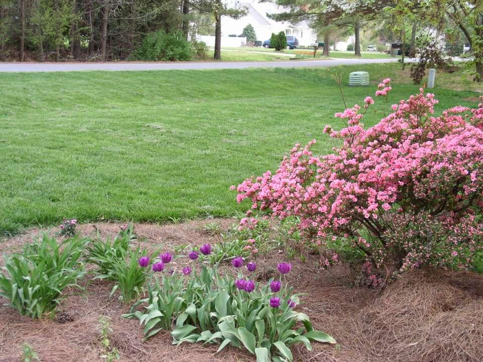 APRIL JUNE Post control of summer annual and perennial Grassy weeds Broadleaf weeds Sedge and kyllinga weeds Post control
