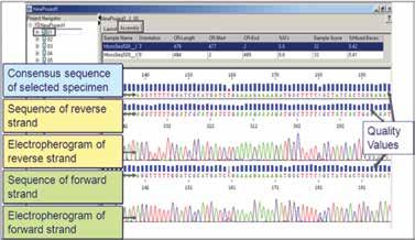 Additionally, a detailed guideline for data analysis and interpretation is provided during training so that facility staff can fully understand the scientific rationale behind MicroSEQ ID data