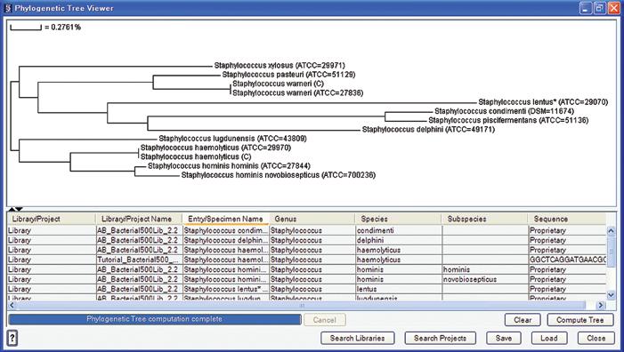 Predict and verify results with enhanced analysis Phylogenetic tree analysis is one of the most powerful tools to examine, assess, or study relatedness among microorganisms (Figure 8).