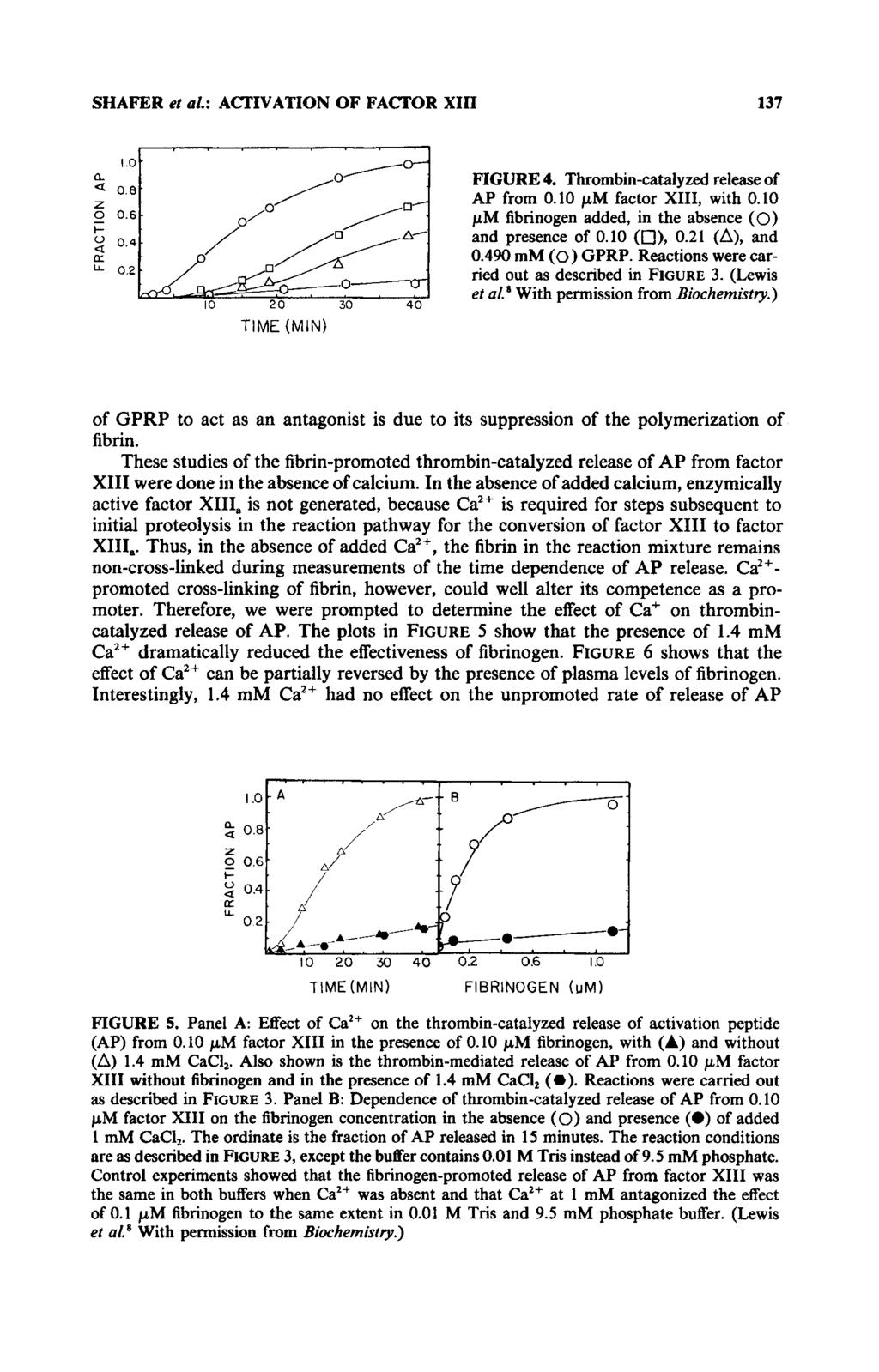 SHAFER et 01.: ACTIVATION OF FACTOR XI11 137 I- 2 0.4 n lj. 0.2 / 10 20 30 40 FIGURE 4. Thrombin-catalyzed release of AP from 0.10 pm factor XIII, with 0.