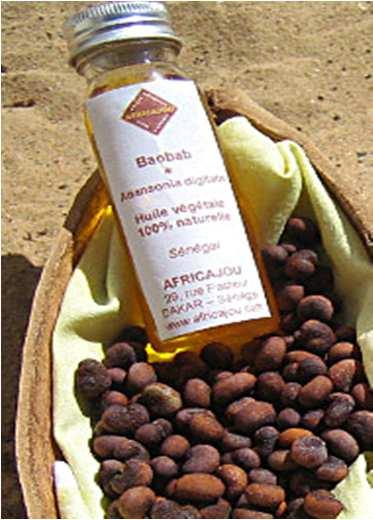 West Africa which has numerous medicinal properties and food uses (bark fibers, fruit pulp, seeds, leaves,.