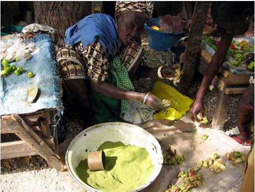 for the development of agroforestry systems in semiarid Africa Recently, baobab fruit pulp approved for sale in the EU