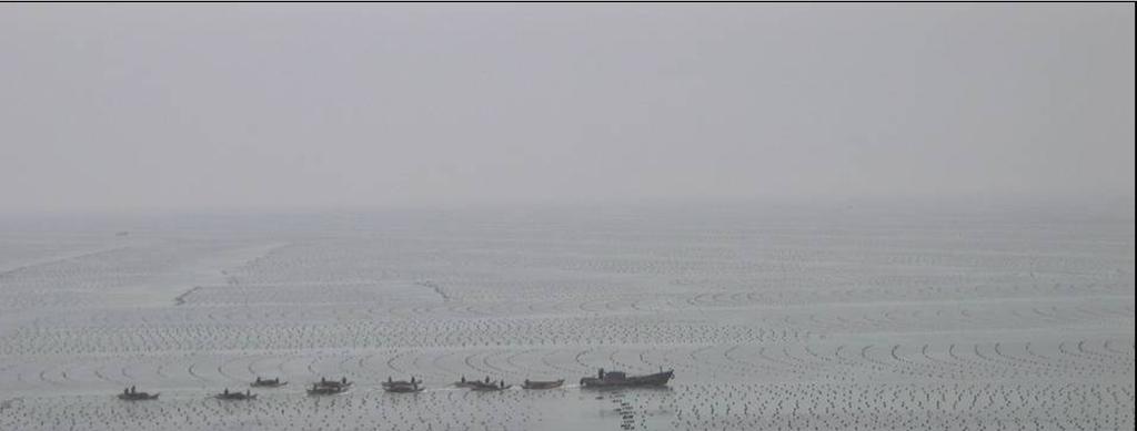 Review on integrated mariculture in China, including case studies on successful polyculture in coastal Chinese waters Photography: Laboratory of Aquaculture & Artemia Reference Center, Ghent