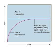 Figure 109: The rates of condensation and evaporation over time for a liquid sealed in a closed container Vapor Pressure is the of the vapor present at equilibrium is determined principally by the
