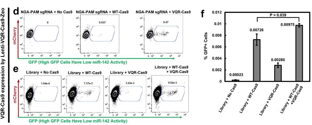 Supplementary Figure 5: Compatibility of Molecular-Chipper-generated sgrna library with VQR-Cas9.