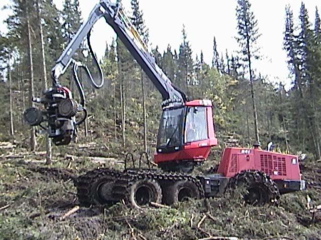 Cut-to to-length Harvesting