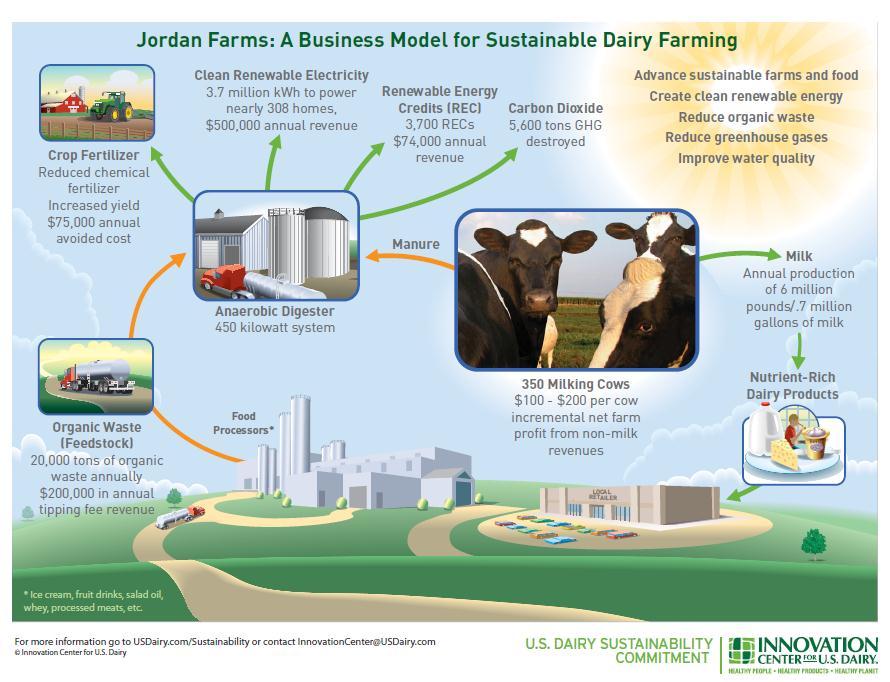 Case Study - Jordan Dairy
