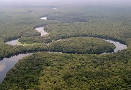. Congo Basin Ecosystems Conservation Support Program 32