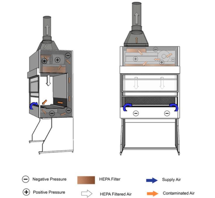 Illustration of a Class two Type A2 Biological Safety Cabinet (BSC) Cabinet exhaust may be recirculated into the room and this is generally the case at Queen s.