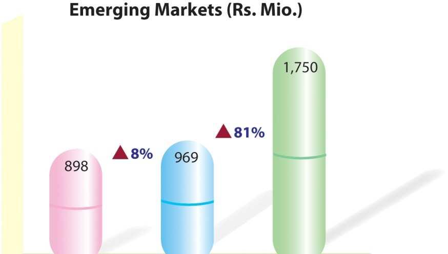 Exports to emerging markets grew by >30% in last 4 years Operations in over 20 semi / non regulated emerging markets of Asia Pacific, Africa, Middle East and CIS regions Gross Sales Focusing on