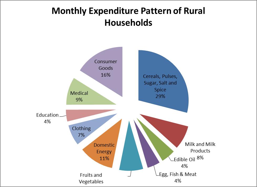 Figure 28: Fuel-wise expenditure in Rural Electrified large land-holding household The following graphs give an overview of monthly expenditure patterns of urban and rural households.