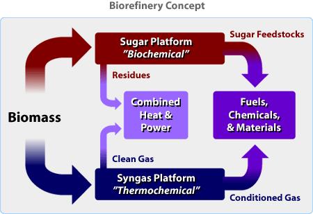 258 Biofuels - Economy, Environment and Sustainability 5.2. Multipurpose biorefinery based on sugar and syngas platforms Another example of a multipurpose biorefinery is built on two different