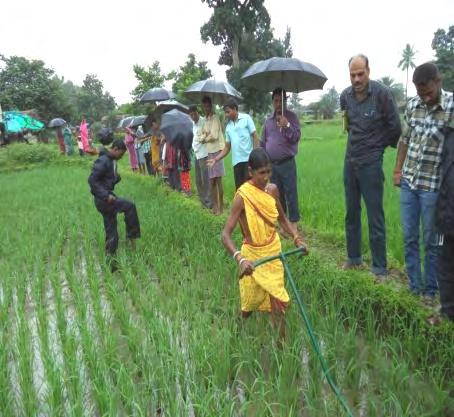 Livelihood Security among Women Farmers