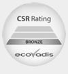 1. Score Overview OVERALL SCORE 47/100 The overall and theme scores summarize the CSR performance of ANOVO SA (GROUP) on a scale of 1 to 100.
