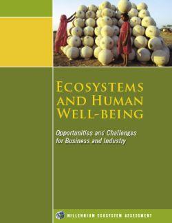 Ecosystem Services Millennium Ecosystem Assessment (2005) classified ecosystem services as: supporting (e.g. soil formation) regulating (e.g. water retention) provisioning (e.g. food) cultural (e.