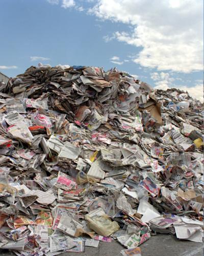 Biomass Wastes = Viewed as a Disposal Problem Reducing