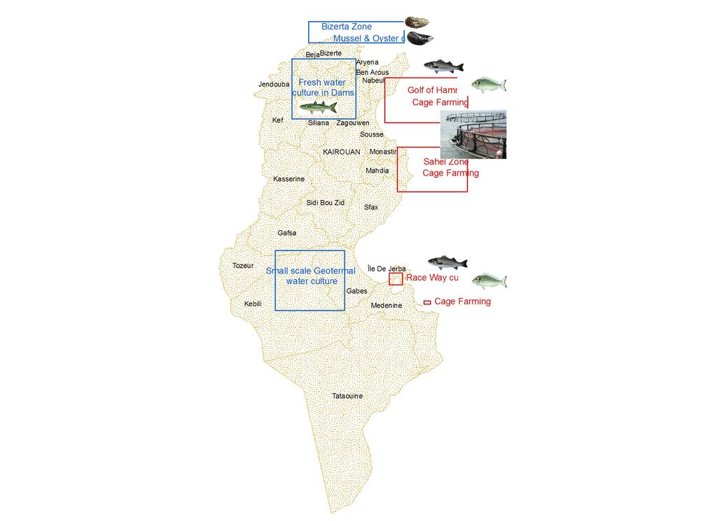 Aquaculture Statuts in Tunisia The Zone selection for inland aquaculture was done within the master plan prepared during the period