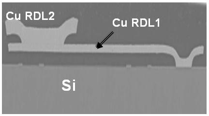 (b) (a) Die 1 Die 2 (b) Figure 7. (a) Photo and (b) SEM micrograph of crosssection of 2-layer RDL ewlb.