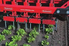 Steketee IC Your specialists in soil treatment and weed control The IC is Steketee s automatic hoeing machine that uses camera images to calculate the positions of cultivated crops and is able to hoe