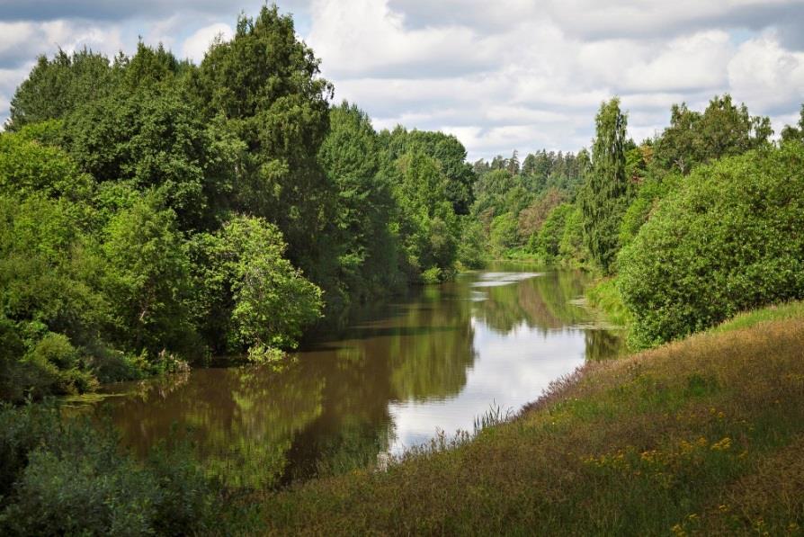 About Vantaa Population 220 000 Lot of urban forests, countrysides and rural areas - The Vantaa city area includes altogether 9 000 hectares of forest, of which the city owns