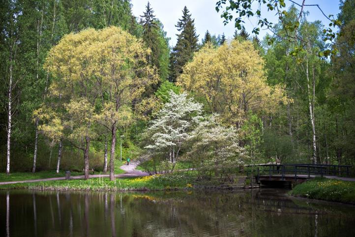 About Vantaa Biodiversity is maintained, for instance, by increasing the