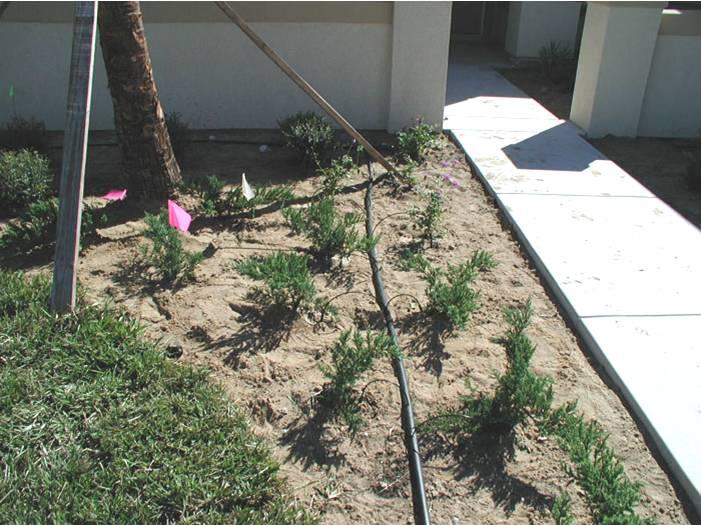 Energy Efficient Homes: The Irrigation System 4 trees do not require additional irrigation unless there is a drought.