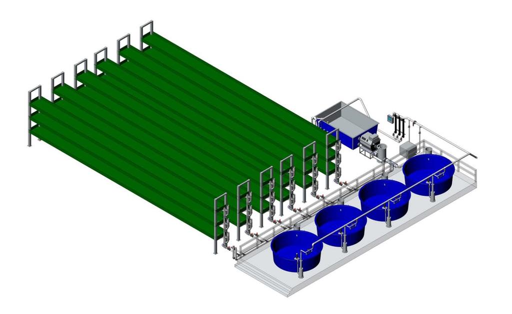 Creating the Detail: The Link to the Plant Production System Water from the second Moving Bed Filter is pumps by