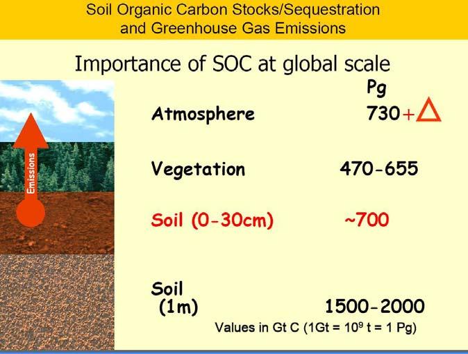 Soil Carbon and Land