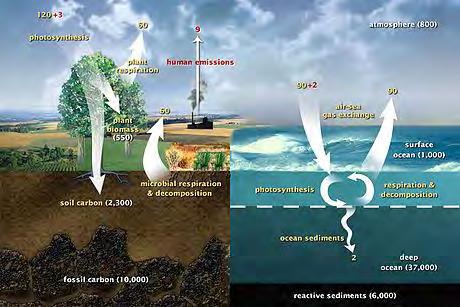 Carbon cycle: the movement of carbon between land, atmosphere, and oceans [billions of tons of carbon per